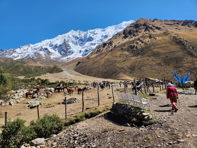 Salkantay Trek