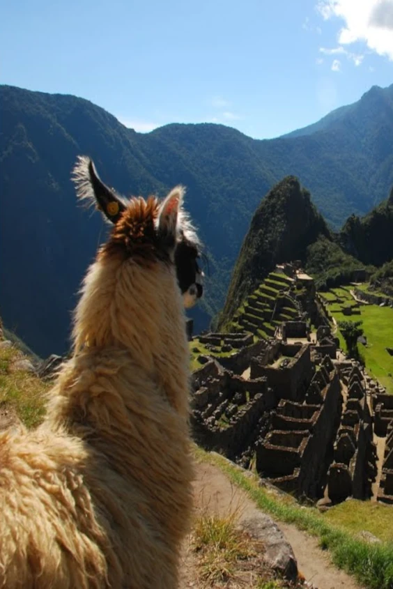 best time to hike machu picchu